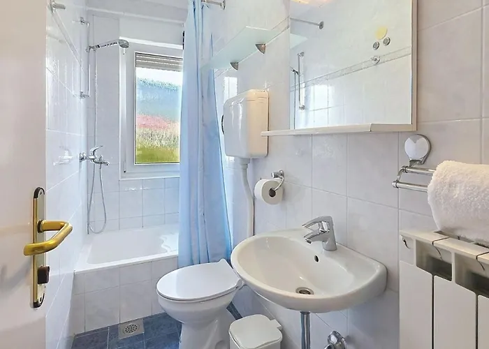 Zic Vesna - 350 M From The